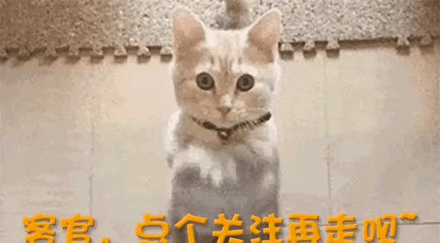 黄金行情